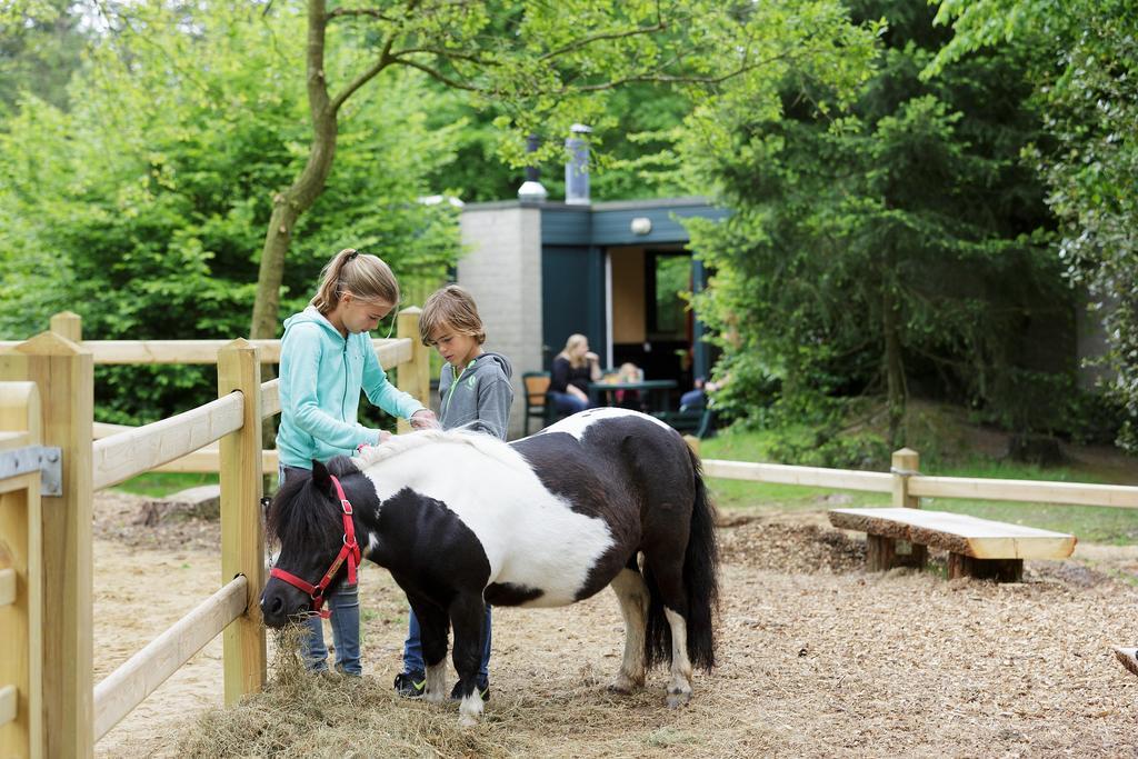 ホテル Center Parcs Les Bois Francs ヴェルヌイユ・ダヴル・エ・ディトン エクステリア 写真